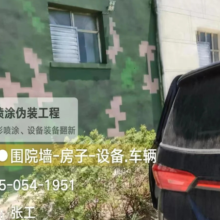 武隆数码迷彩漆施工